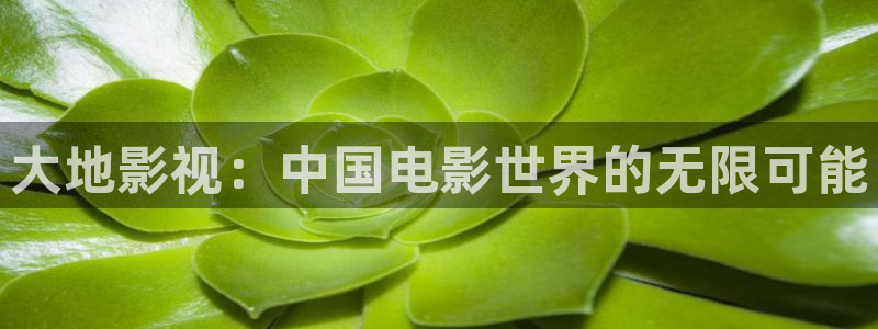 长沙保利国际影城今日电影：大地影视：中国电影世界的无限可能