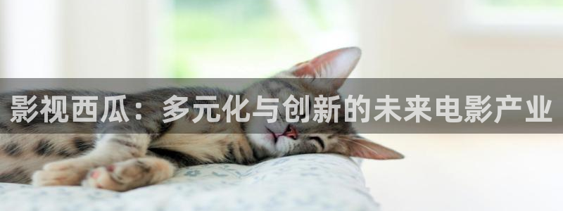 保利电影院线：影视西瓜：多元化与创新的未来电影产业
