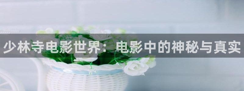 宁津县保利影城：少林寺电影世界：电影中的神秘与真实