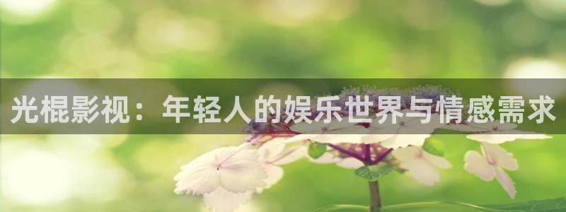 保利国际电影院：光棍影视：年轻人的娱乐世界与情感需求