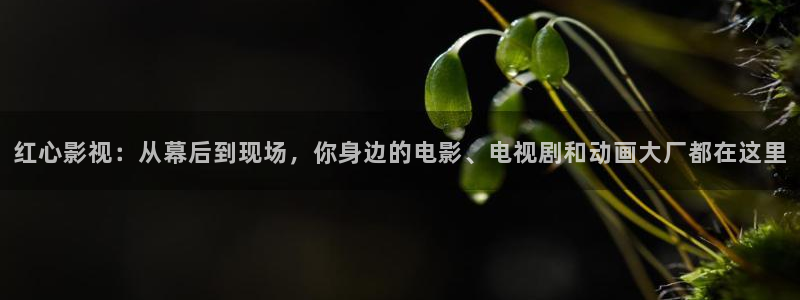 保利万和影城在哪里：红心影视：从幕后到现场，你身边的电影、电视剧和动画大厂都在这里