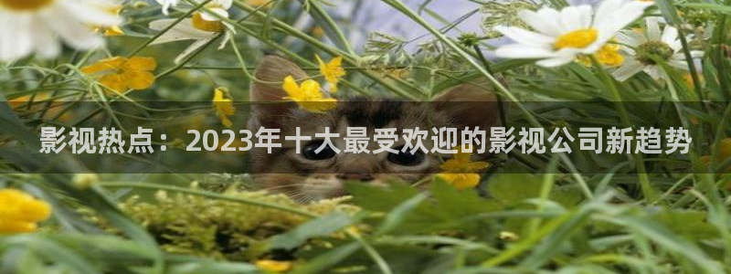 保利剧院儿童剧：影视热点：2023年十大最受欢迎的影视公司新趋势