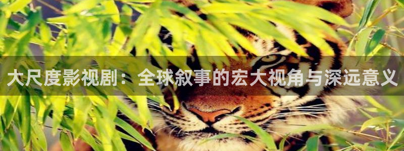 昆山保利影院今日电影：大尺度影视剧：全球叙事的宏大视角与深远意义