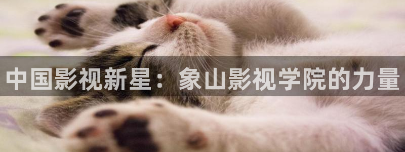 常州大剧院保利影城影讯：中国影视新星：象山影视学院的力量