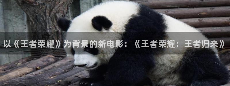 常州常州大剧院保利影城：以《王者荣耀》为背景的新电影：《王者荣耀：王者归来》